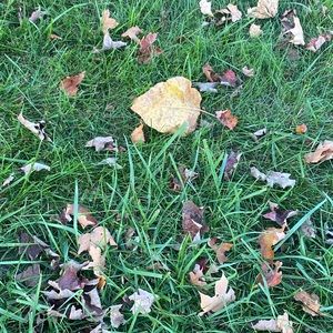 Meet your Posher, Brooks